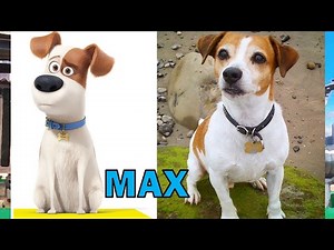 The Secret Life Of Pets REAL LIFE All Characters #VirtualRealStars [HD] 2017