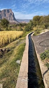 10K views · 409 reactions | Ibri , Oman  | Sultanate Ôf Oman | Facebook