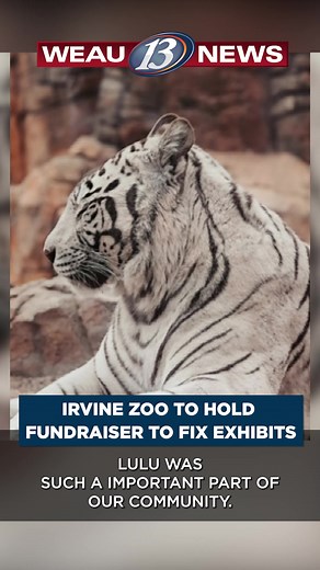 The Irvine Park Zoo in Chippewa Falls has been a staple in the community for years, and now it is seeking community support. MORE >> https://www.weau.com/2025/07/16/irvine-park-zoo-hosting-fundraiser-renovate-mammal-exhibits-following-loss-its-beloved-tiger/ | WEAU 13 News