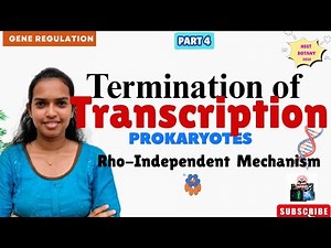 Transcription termination in prokaryotes | Rho- independent |#plantsapiens