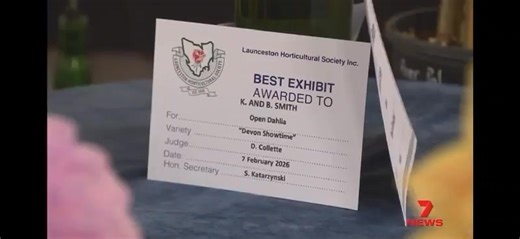 LHS Summer Flower Show 2026, featuring the relaunch of the Dahlia Society of Tasmania | Launceston Horticultural Society