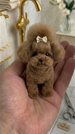Puppy Spa Day: Get Ready for Adorable Surprises! 🐶