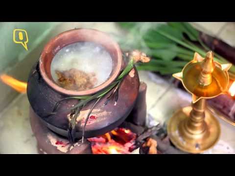 How to Cook Pongal in 7 Steps