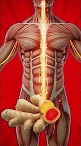 “Ginger Benefits That Will Surprise You! 🌿🔥 #shorts