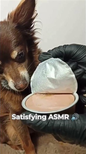 Spreading Pate ASMR! 🟣 Tyson's Chicken & Turkey #Shorts