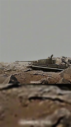 The Steel Beast🦁 #tiger #shorts