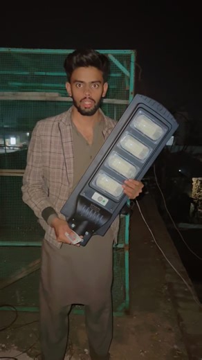 100k Pigeons and Solar Lights: A Unique Attraction