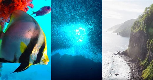 BBC Earth Has Been Quietly Uploading 10 Hour Loops of Calming Nature Scenes