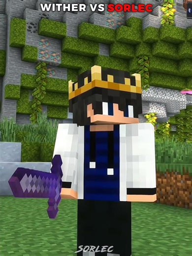 Minecraft Wither Mess with Me=💀