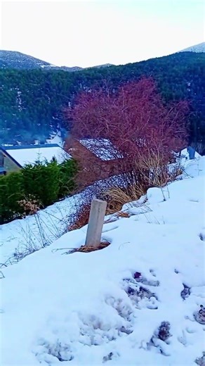 uno de los viajes más bonitos en toses..