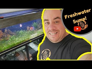 Freshwater sump filter - setup and troubleshooting