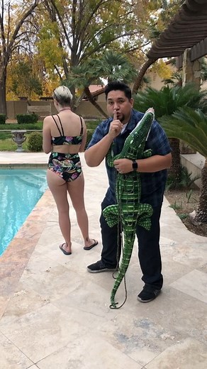 211K views · 536 reactions | Alligator prank! #fblifestyle This original video was produced by Rick Lax and Alex Z. | Crazy Clips & Silly Skits | Facebook