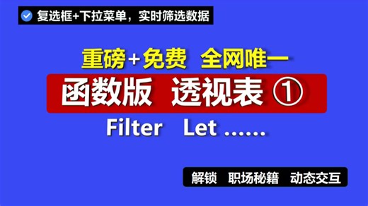 【小白，进阶吧！】解锁【函数版 透视表➊】FILTER+VSTACK+LET+复选框+下拉菜单，实时交互，动态筛选神器！WPS/Excel职场必备！免费教程。