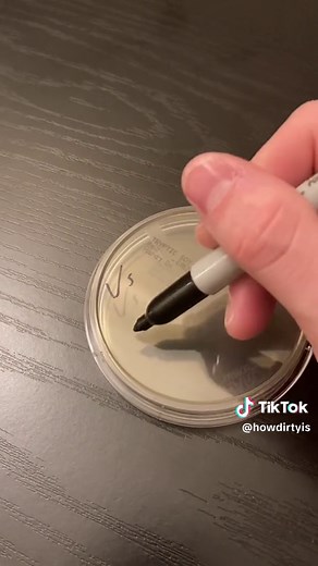 Replying to @karettastarr How dirty is @Victoria’s Secret 🤔 Why all the secrecy anyways? #victoriassecret #underwear #underwearoflove #underwearisle #bra #bras #shopping #shoppinghaul #shoppingaddict #science #germ #sciencebiatch #gross #nasty #howdirtyis #dirty #interesting #bacteria #sciencetok #cool #fyp #clean #foryou #micro #curious #サイエンス #科学 #実験 #バクテリア #funfact #facts #fact #germs #interestingfact #interestingfacts #amazingfact #amazingfacts #amazing #randomfacts #randomfact #randomfacts