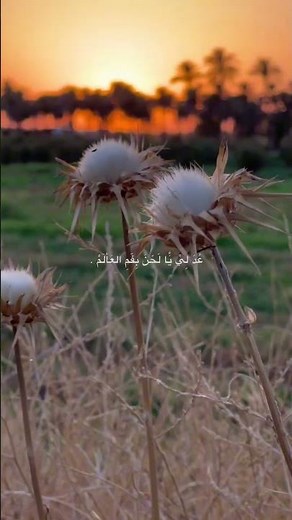 عد لي حبيبي|حسن القدسي #اكسبلور#يافاطمه#لايك #ياعلي#ستوريات#تصميمي#كربلاء