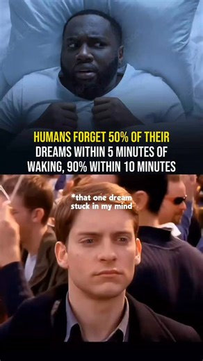 EXPERT on Instagram: "Scientific studies on sleep and memory have shown that dreams fade rapidly after waking. On average, people forget half of their dream content within five minutes, and up to 90% within ten minutes if they do not actively recall or record it. This rapid forgetting occurs because the brain prioritizes waking memories over dream experiences, and the neurological pathways that encode dreams are weaker than those used for waking events. Experts suggest keeping a dream journal im