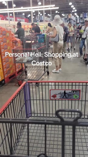 Navigating Aisles at Costco: The Shopping Struggle