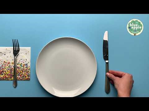 POV Video Modeling for Autism: Setting the Table