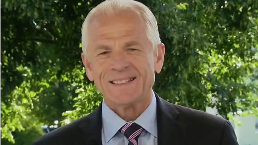 Biden 'blatantly ripping off' Trump's 'buy American' agenda: Navarro