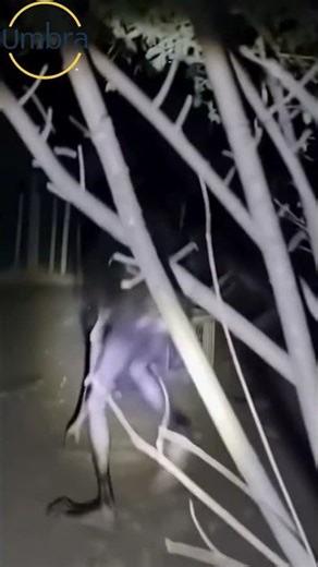 Chaneques or Nahuales? They filmed outside their house... 🌑☠️#Terror #Nahuales #Chaneques