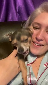 101K views · 3.9K reactions | Is it just me or did he just say hello perfectly #makeuphacks #normalpeople #dogs #puppy #foryou #fyp #foryoupage #comedy #jokes #dog #cute #pup | hermes and madi | Facebook