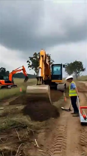 Before & After Land Transformation | Nature Restoration Timelapse