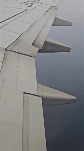This shows the flap deployment during landing on a B737. The flap angles are based on a flight simulator and may differ from the actual aircraft. Since there was a 17kt crosswind during landing #B737 #Flaps40 #CrosswindLanding #737Landing #AvGeek #Boeing737 | Aviation Gallery
