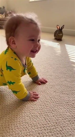 Baby's first bunny chase! 🐰| Baby Bee #baby #Cutebaby