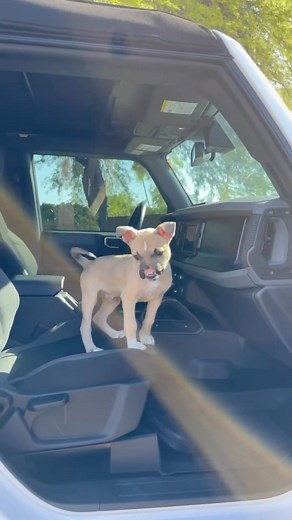 37K views · 1K reactions | Im not sure what’s more exciting… that...