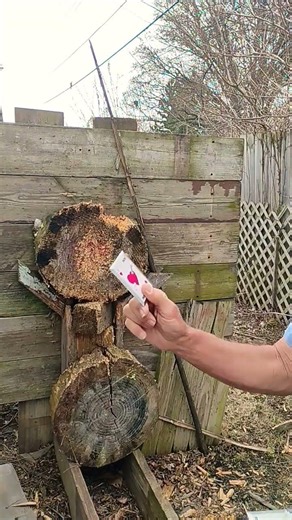 How to backhand throw SOG Death Aces #throwingknife #knifethrowing #throwingcards #backhandthrow