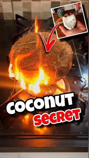 Easy Coconut Shell Hack! 🙌 #diy