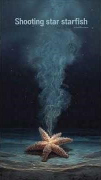 Shooting star starfish