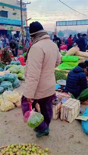 Exploring Local Fruit and Vegetable Markets