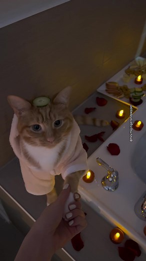 Romantic Bubble Bath Ideas for Couples