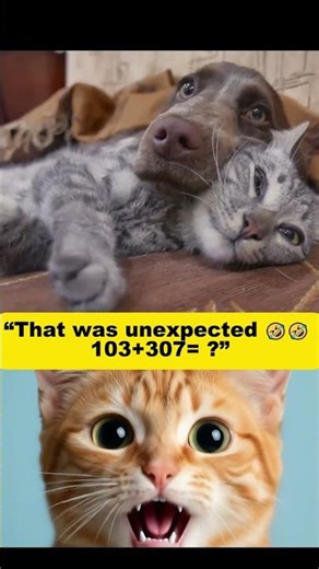 "That Was So Unexpected 😹 Funny Meme + Math Fail"