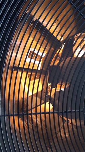 126 reactions · 7 comments | Cooking corn! This is what the business...