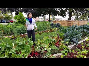 Community Composting