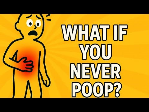 What If You Stopped Pooping? The Dangerous Truth Your Body Can’t Ignore