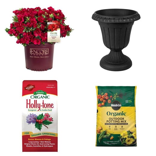 2 Gal. Autumn Fire Azalea Shrub, 13 in. x 15 in. Black Urn, 8 lbs. Holly Tone Fertilizer and 25 qt. Potting Mix Combo - The Home Depot