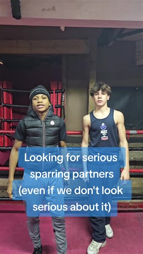 Serious Sparring Partners Wanted for Boxing Practice