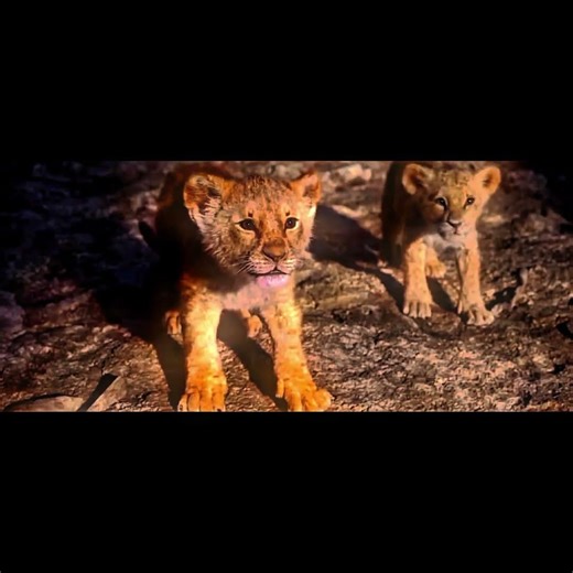 #𝙻𝙸𝙾𝙽 𝙺𝙸𝙽𝙶# 𝙼𝙾𝚅𝙸𝙴# 𝙼𝚈# 𝙴𝙳𝙸𝚃𝙸𝙽𝙶#