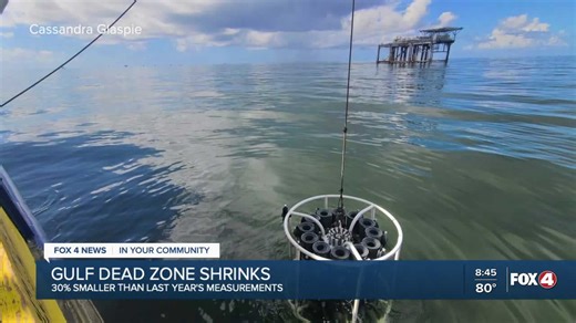 Is the Gulf's "dead zone" coming back to life?