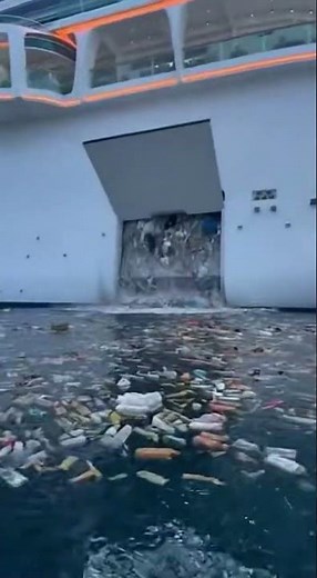 Marine pollution is a global challenge that affects wildlife and ocean health.