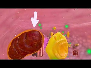 Link Reaction | VR Biology Simulation for High School