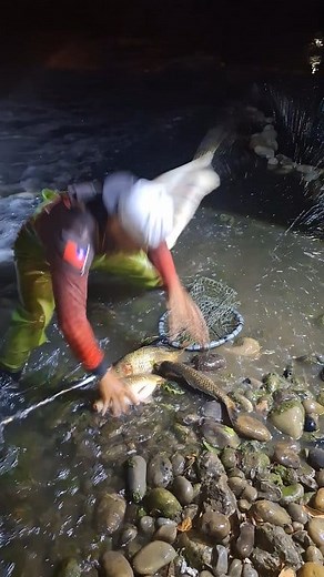 1.7M views · 581 reactions |  wow may laman ang sako | Bai Dongs tv | Facebook