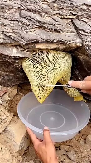 Delicious Quick Snack Ideas for Busy People