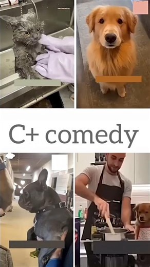 cute cute animals funny voice trending shorts video #funnycomedyshort #cuteanimalsfunnyvideosshorts