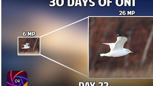 【独家分享】ON1 Resize AI 2026 v20.0 智能放大锐化脸部修复 中文便携版