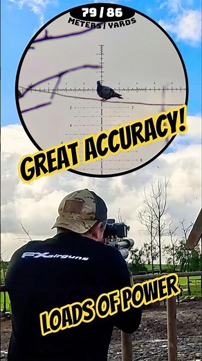 Great Accuracy with loads of power | FX Impact M4 | World's best PCP Air Guns #fxairguns