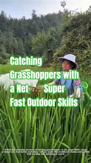 Catching Grasshoppers with a Net 🦗 Super Fast Outdoor Skills #farming #satisfying #short